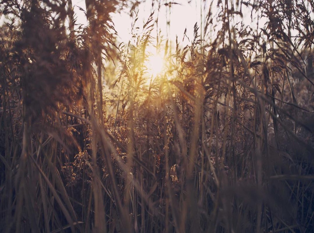 How Aportbet Stacks Up: A Comparison with Industry Leaders