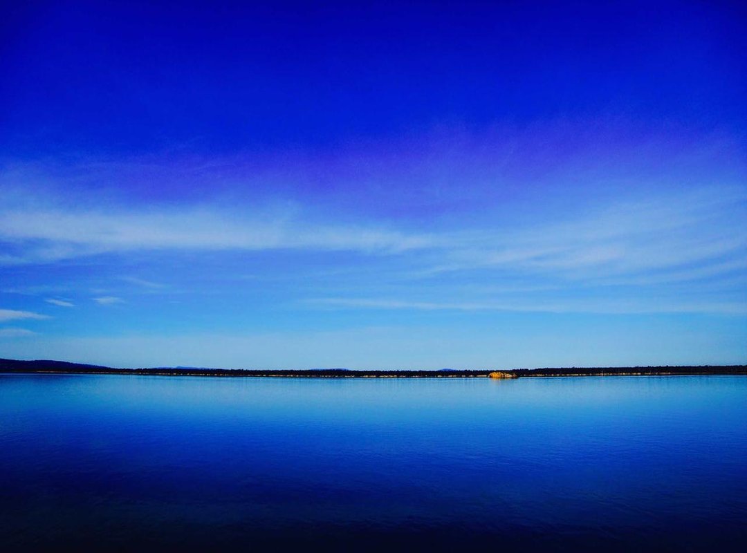 Defining 'Support': A Breakdown of Corporate Actions