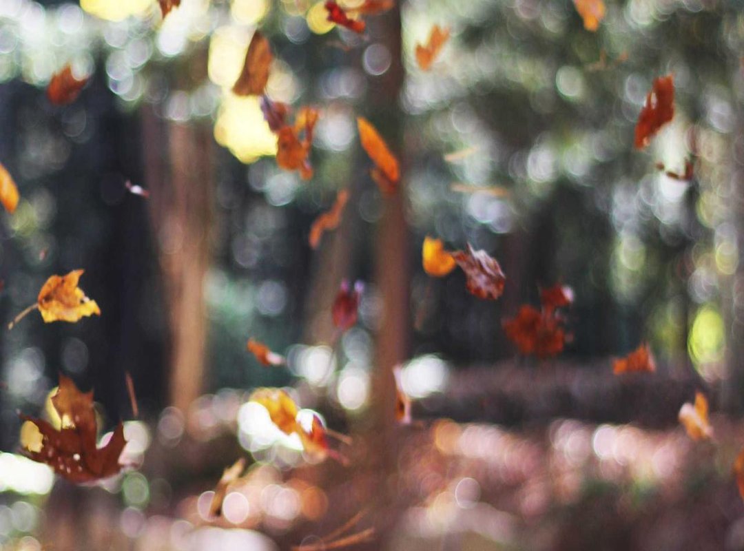 Staying Safe and Positive: Smart Social Media Habits for Teens