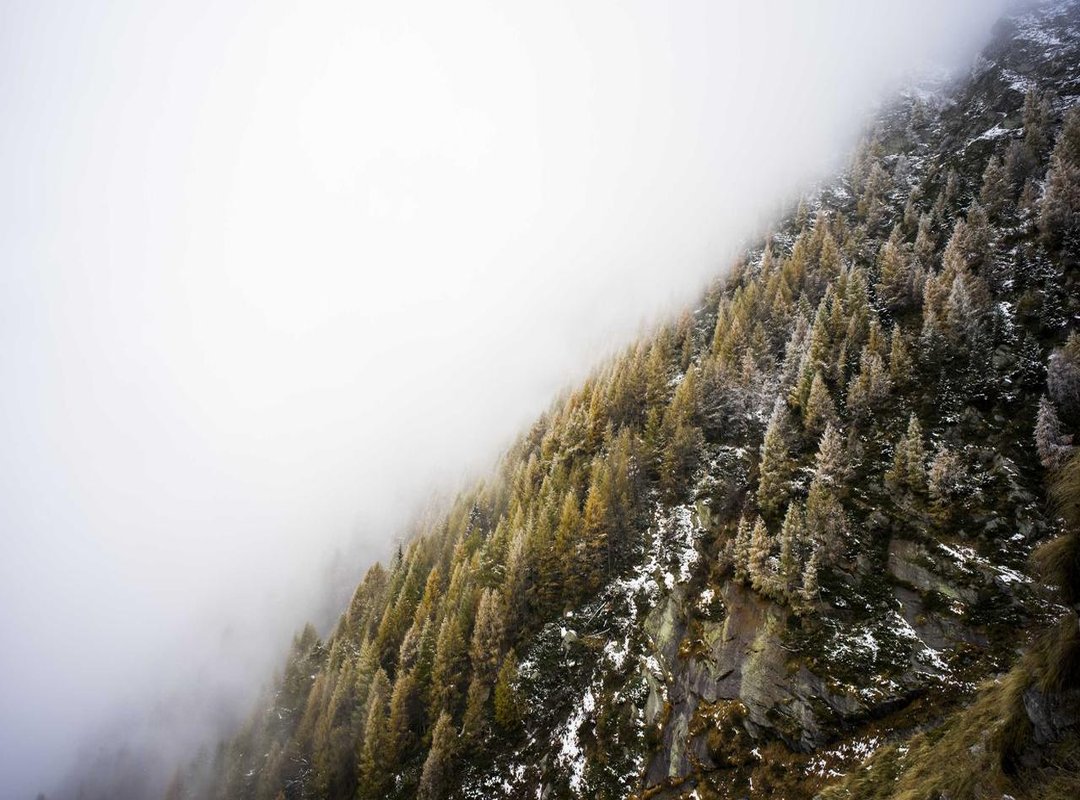 At a Glance: Head-to-Head Pros and Cons