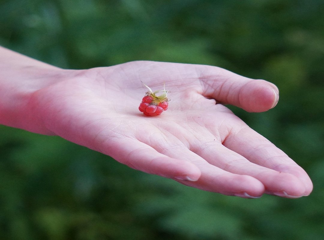 Whrer Can I Get Unitemforce